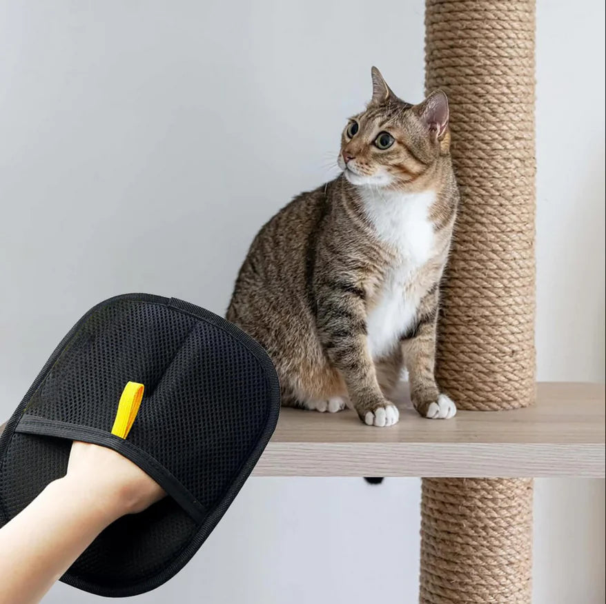 Pet Electrostatic Hair Removal Gloves – Two-Way Bristle Remover for Cat & Dog Hair